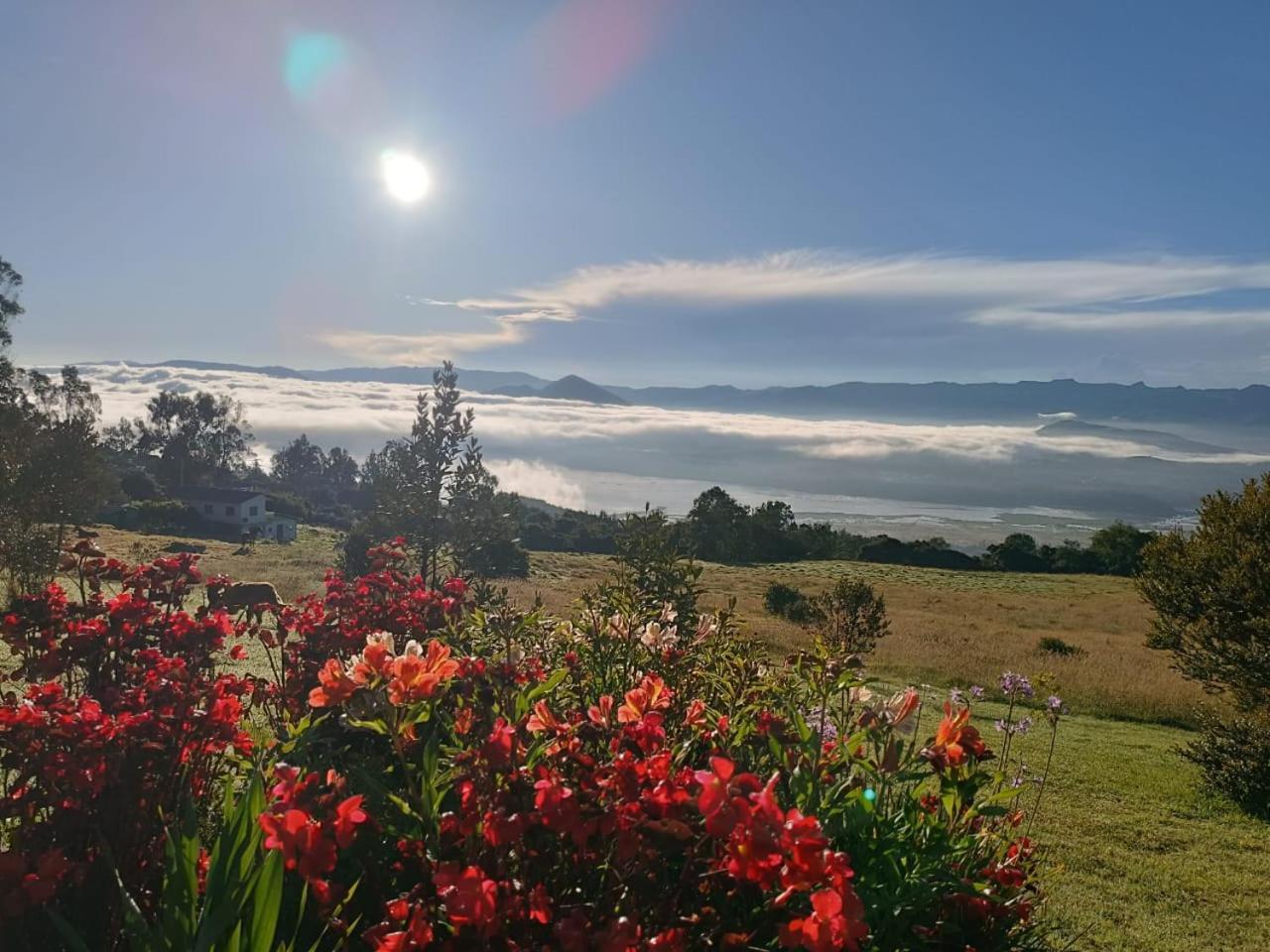 Glamping Hermoso Amanecer Guatavita Ngoại thất bức ảnh